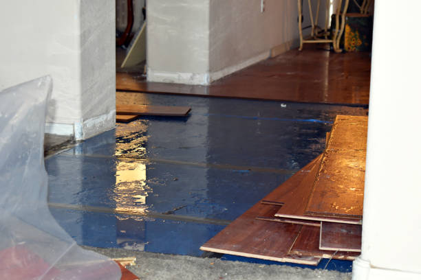 Professional Basement Flood Cleanup technician working in Edgewood, IN